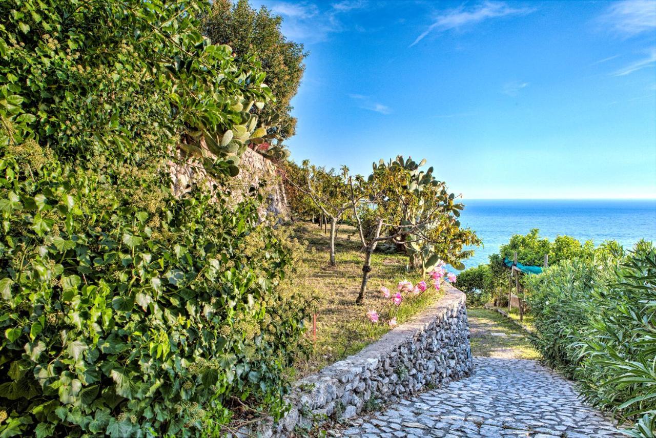 Villa Ad Майори Экстерьер фото